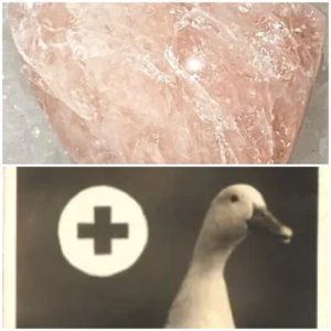 Morganite Package Managed Online Survey for Healthcare Businesses: Customer Risk Management - first payment. Product 1