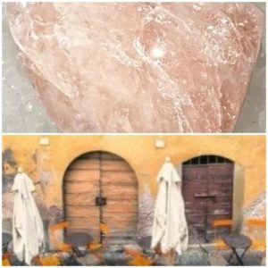 Morganite Package Managed Online Survey for Restaurants: Customer Risk Management - first payment. Product 1