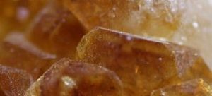 Cytrine Package Organizational Risk Management Survey - Managed Surveys Hosting Cytrine Package Organizational Risk Management Survey - Managed Surveys Hosting - BOOKING