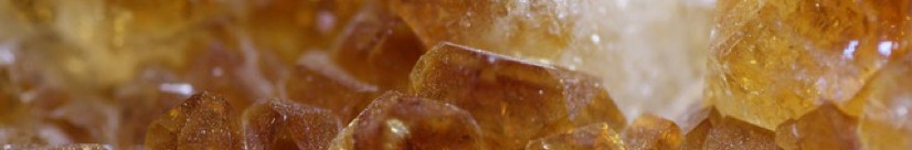 Cytrine Package Organizational Risk Management Survey - Managed Surveys Hosting Cytrine Package Organizational Risk Management Survey - Managed Surveys Hosting - BOOKING