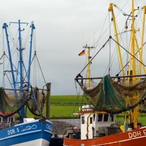 Organizational Risk Management Workshop for Seafood Professionals - final payment