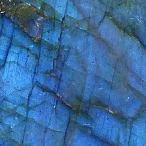 Labradotite Package Customer Risk Management Survey - Dedicated Surveys Hosting - BOOKING