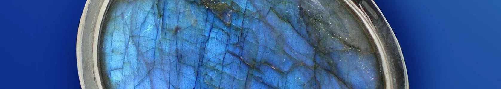 Labradotite Package Customer Risk Management Survey - Dedicated Surveys Hosting - BOOKING